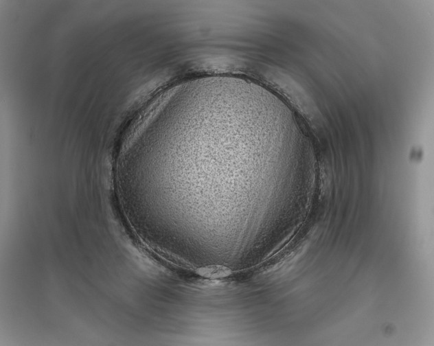 X0000096410453200802071658