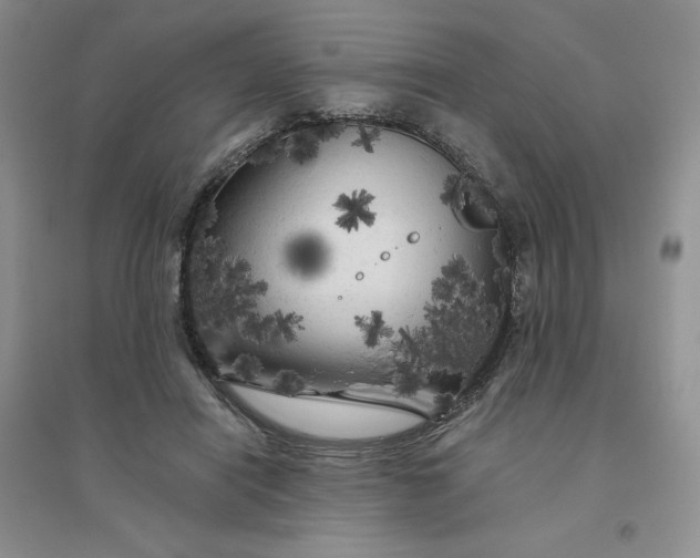 X0000096410454200802071658