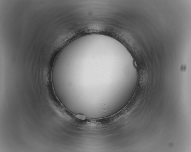 X0000096410455200802071658