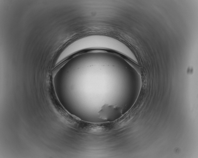 X0000096410456200802071658