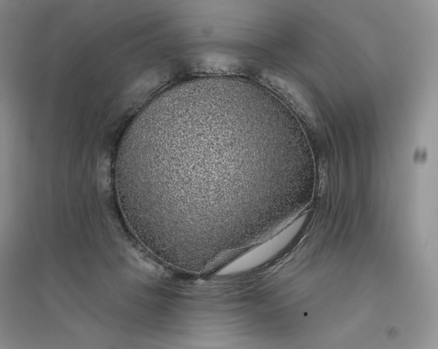 X0000096410457200802071658