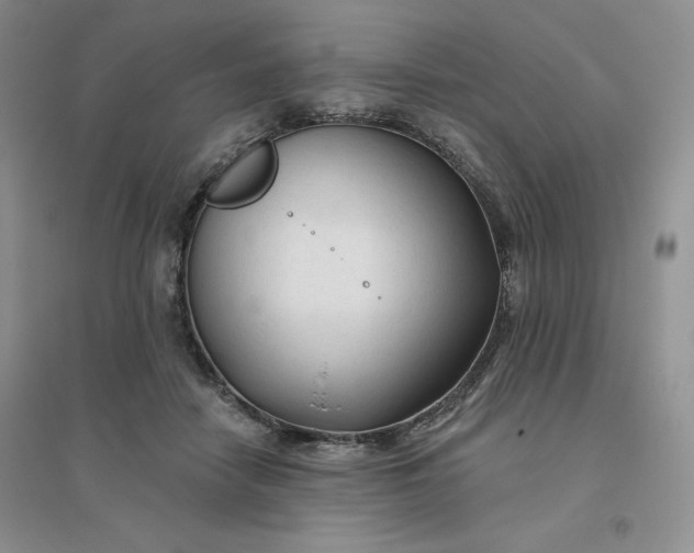 X0000096410458200802071658