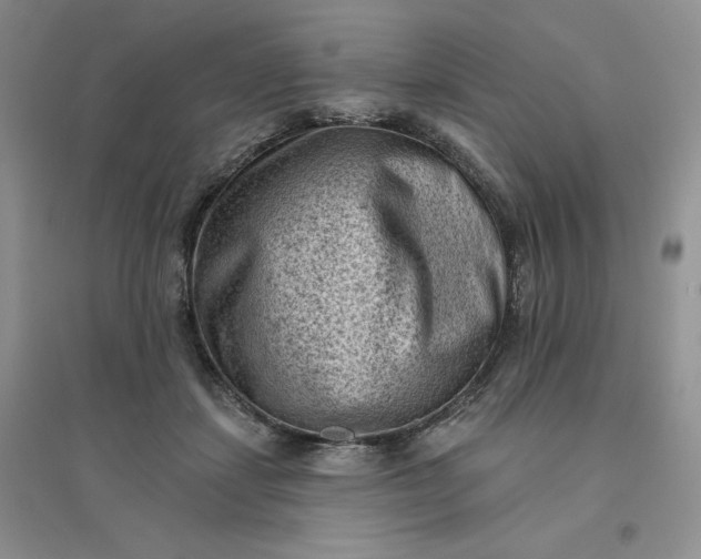 X0000096410459200802071658