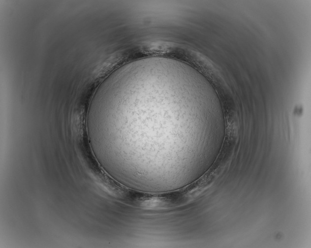 X0000096410460200802071658