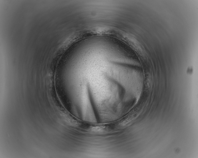 X0000096410461200802071658