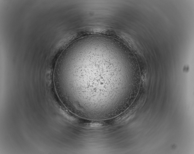 X0000096410462200802071658