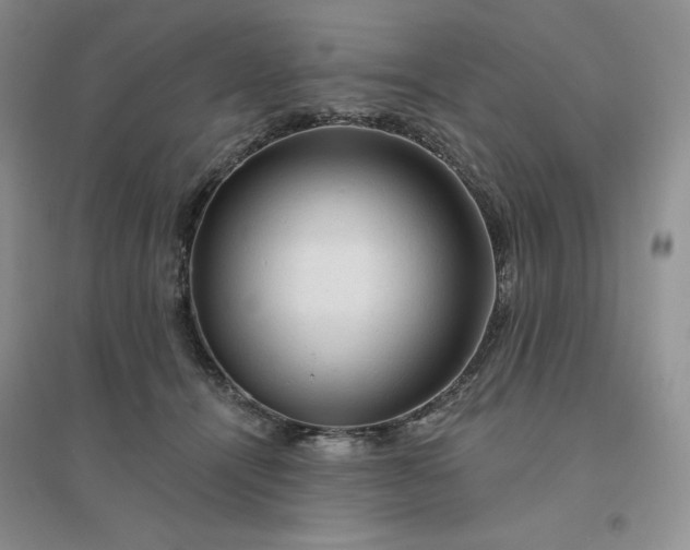 X0000096410464200802071658