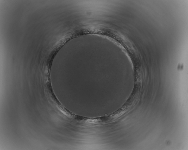 X0000096410465200802071658