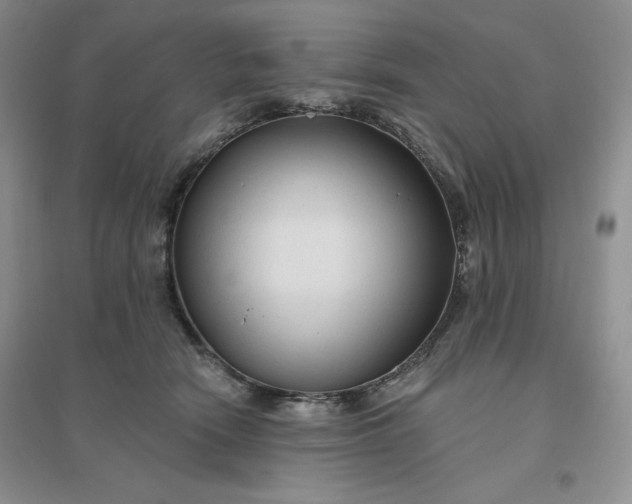 X0000096410466200802071658