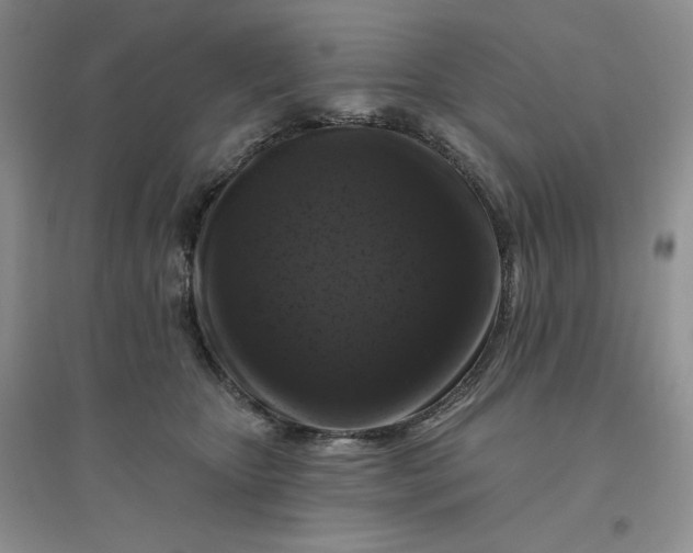 X0000096410467200802071658