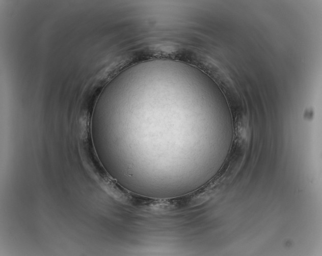 X0000096410468200802071658