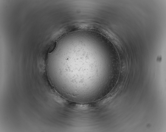 X0000096410469200802071658