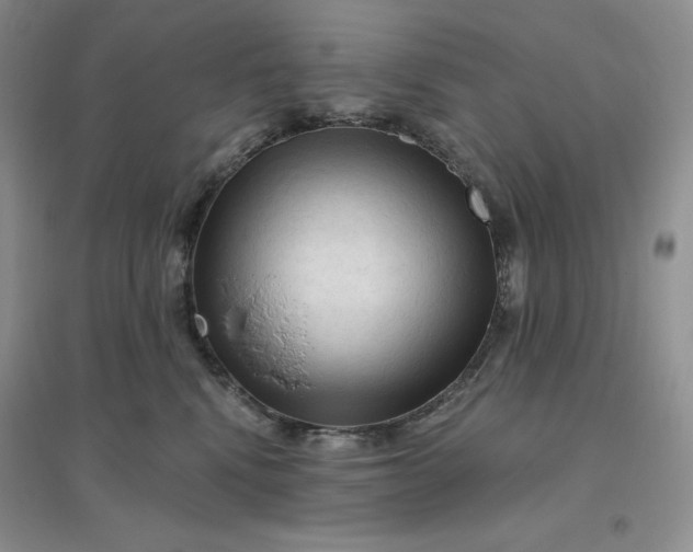 X0000096410472200802071658