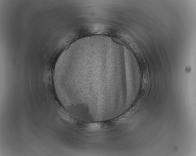 X0000096410473200802071658