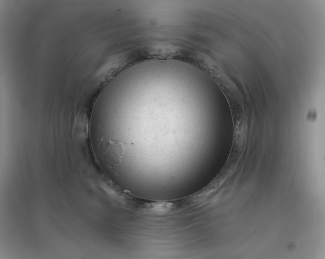 X0000096410474200802071658