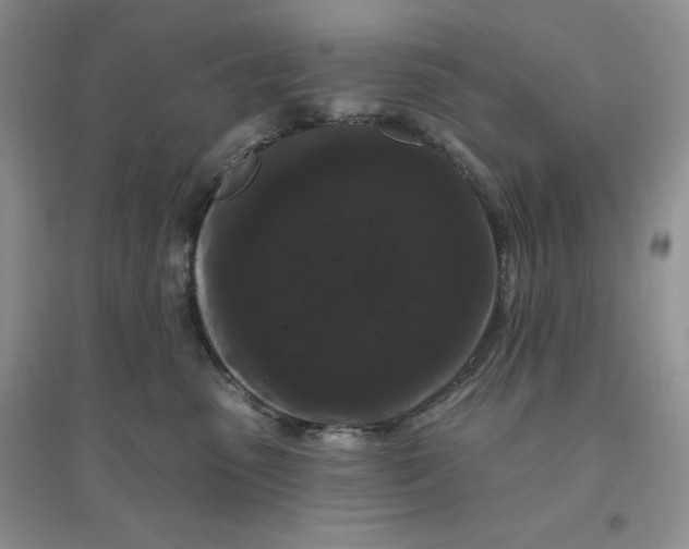 X0000096410475200802071658