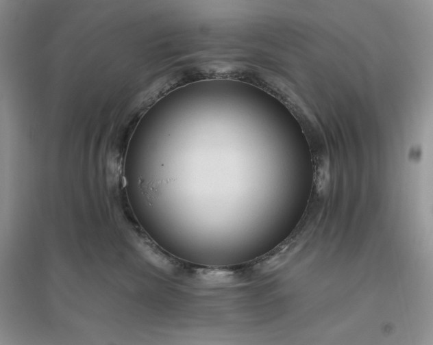 X0000096410476200802071658