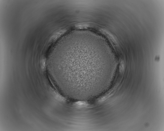 X0000096410477200802071658