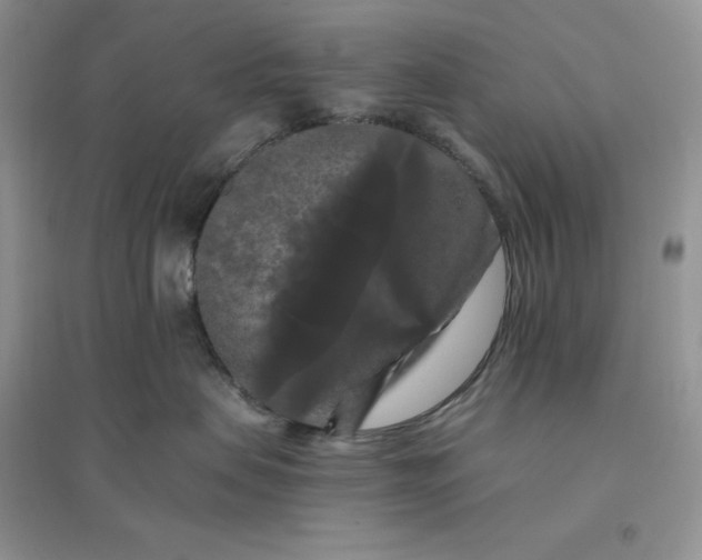 X0000096410479200802071658