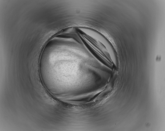 X0000096410481200802071658