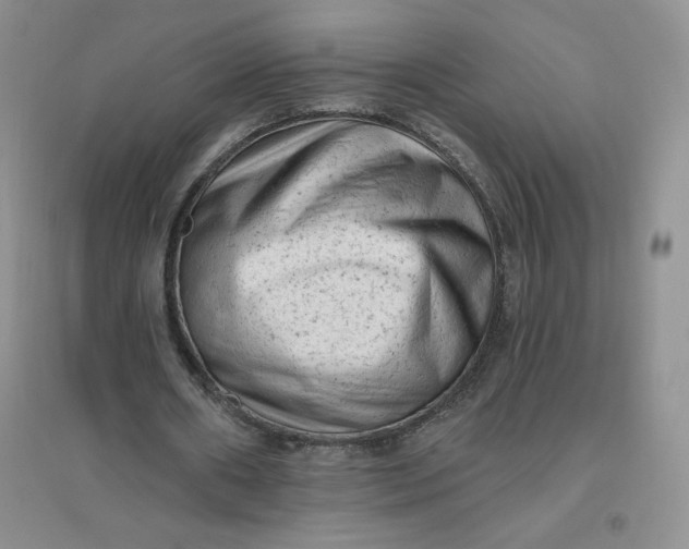 X0000096410482200802071658