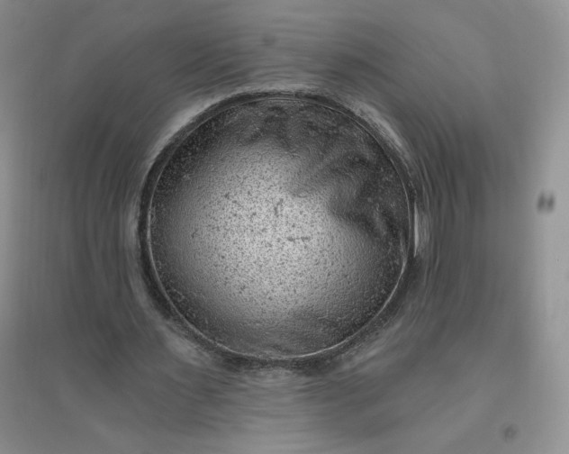 X0000096410483200802071658