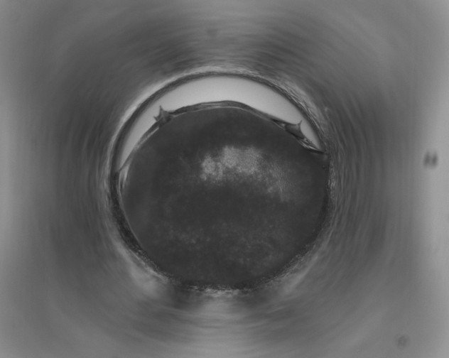 X0000096410484200802071658