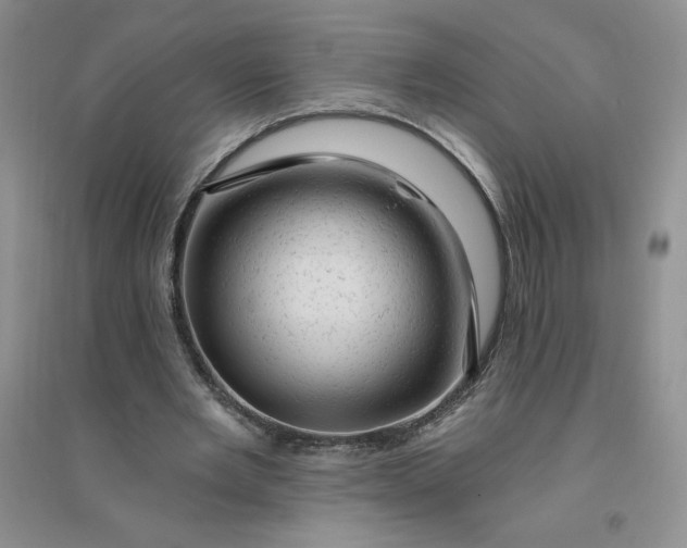 X0000096410485200802071658