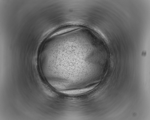 X0000096410486200802071658