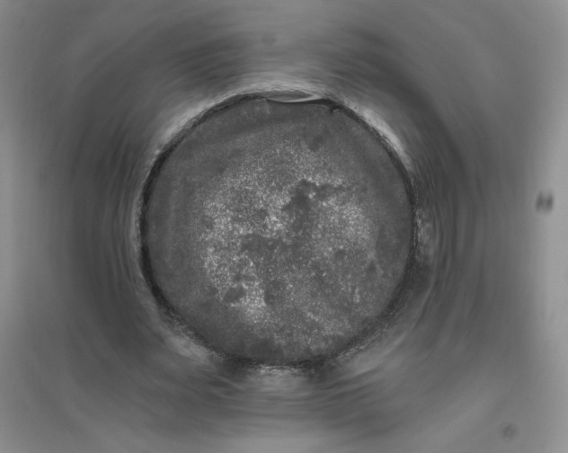 X0000096410487200802071658