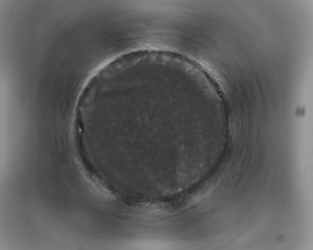 X0000096410488200802071658