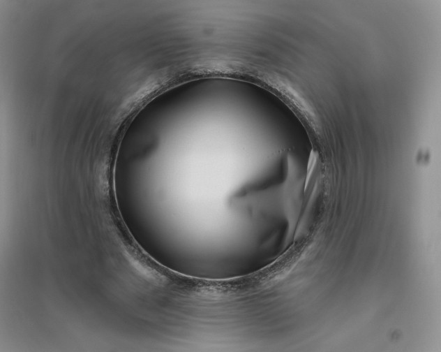 X0000096410489200802071658