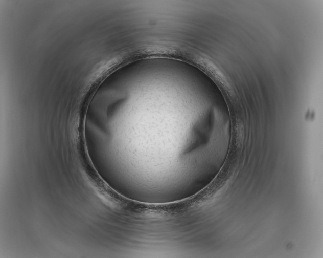 X0000096410490200802071658