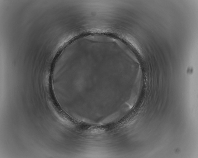 X0000096410491200802071658