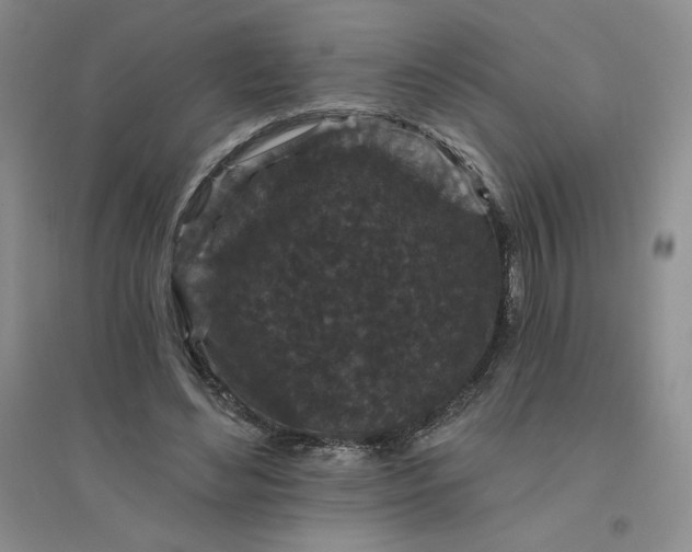 X0000096410492200802071658