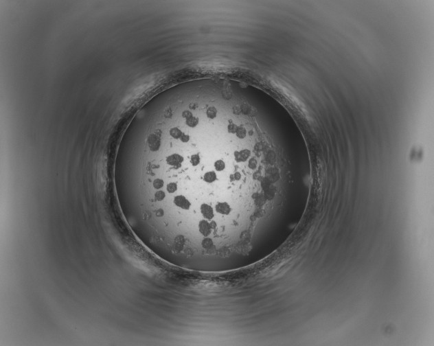 X0000096410494200802071658