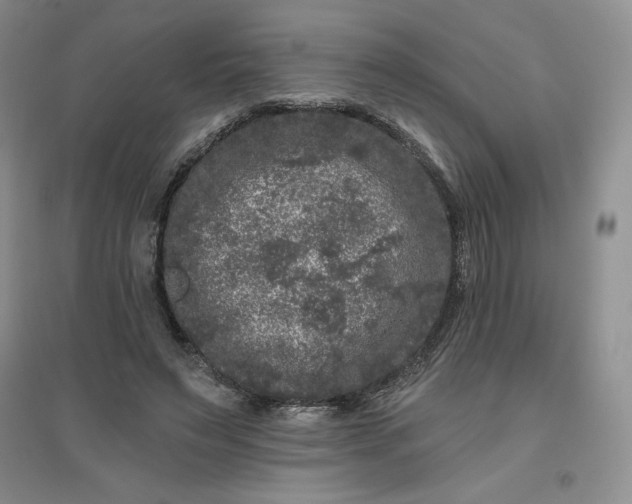 X0000096410495200802071658