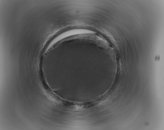 X0000096410496200802071658