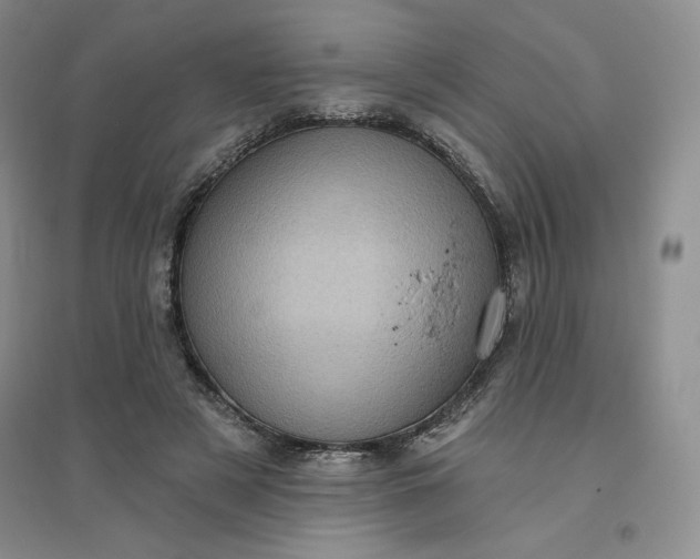 X0000096410497200802071657