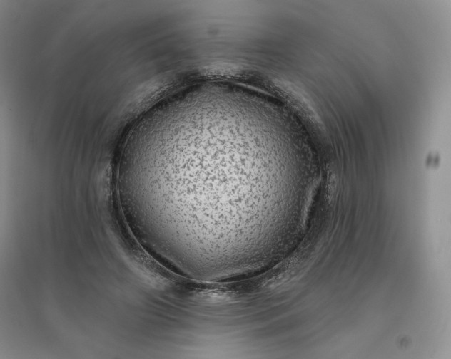 X0000096410498200802071657