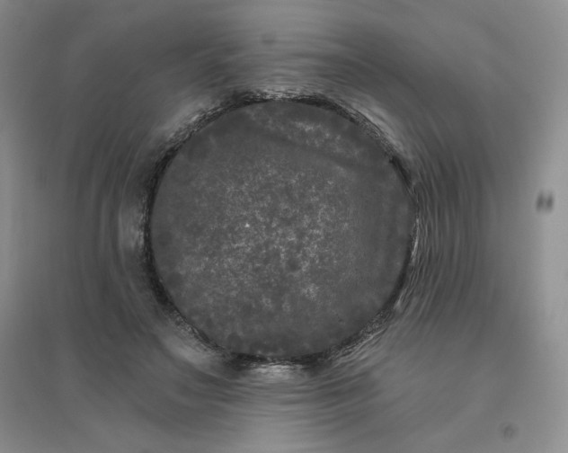 X0000096410499200802071657