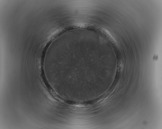 X0000096410500200802071657