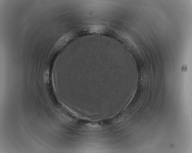 X0000096410502200802071657