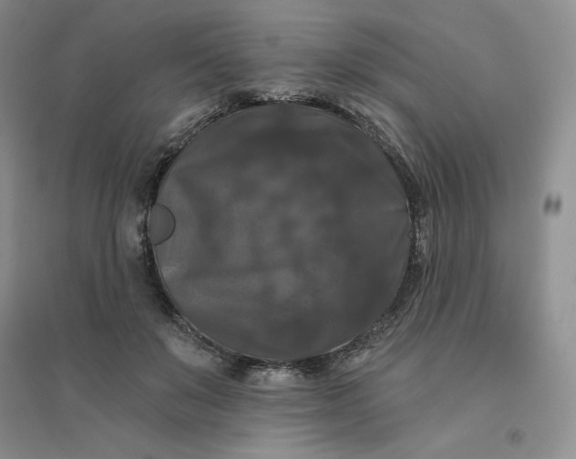 X0000096410503200802071657