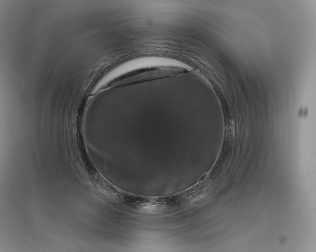 X0000096410504200802071657