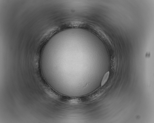 X0000096410505200802071657