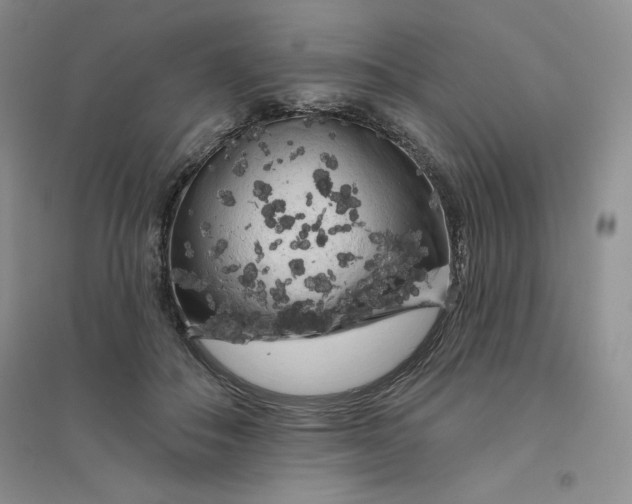 X0000096410506200802071657