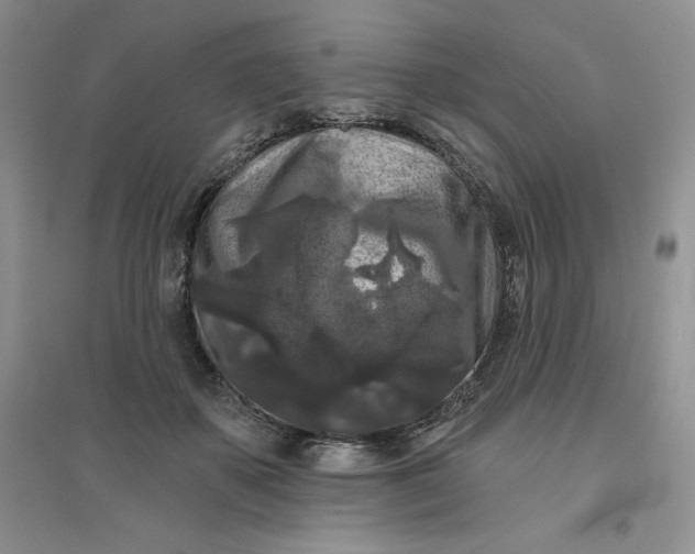 X0000096410507200802071657