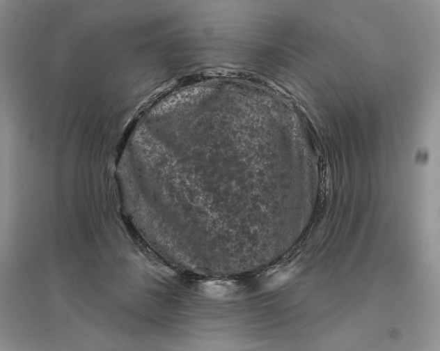 X0000096410508200802071657