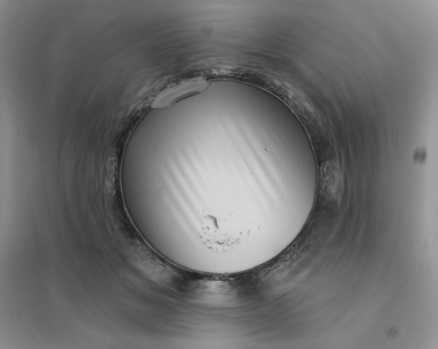 X0000096410509200802071657